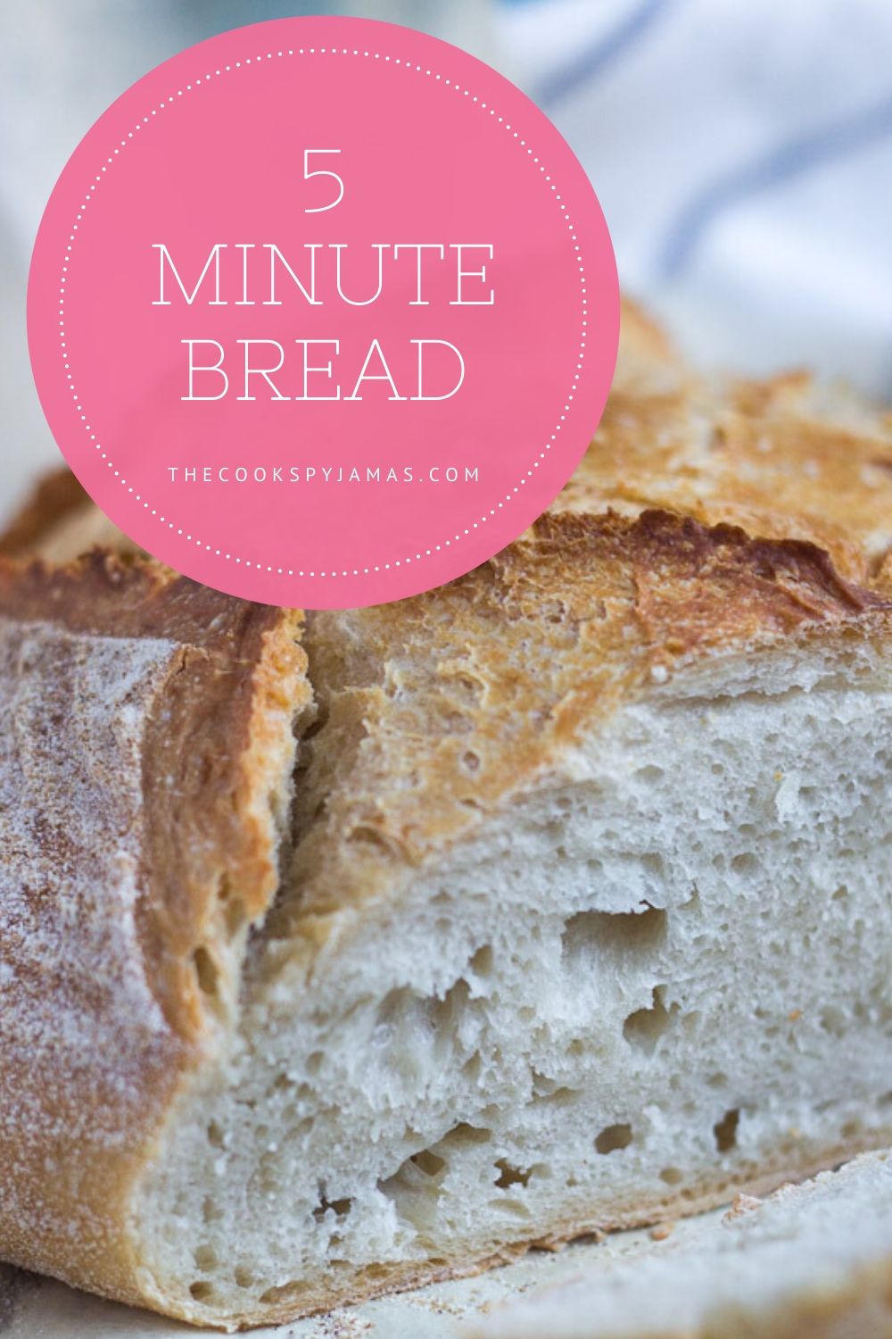 Holiday and Celebration Bread in Five Minutes a Day by Zoë François
