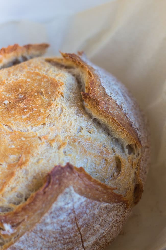 A just cooked loaf of 5 minute no knead bread sitting in a Dutch oven.