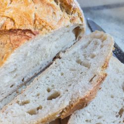 Artisan Bread in 5 Minutes a Day. No kneading, no rising. With a bucket of dough in the fridge, a quick meal is really only 5 minutes away.