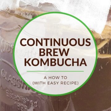Continuous Brew Kombucha