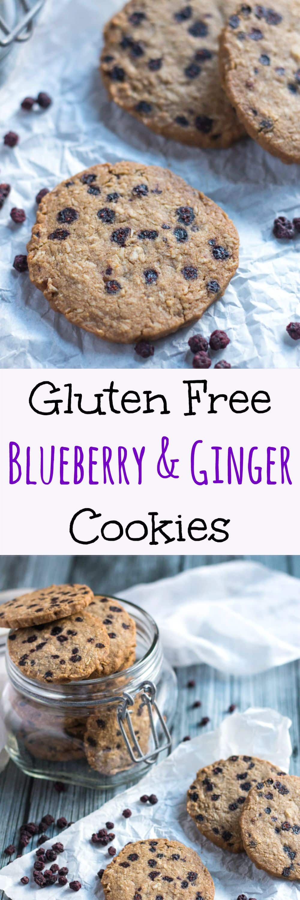 Gluten Free Blueberry & Ginger Cookies. Not your average gluten free cookie.