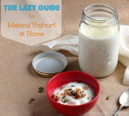 How to Make Yoghurt pic
