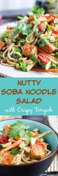 An easy vegan nutty soba noodle salad that is crazy delicious, and is perfect for dinner on a hot evening. Any leftovers are also great for the lunchbox.