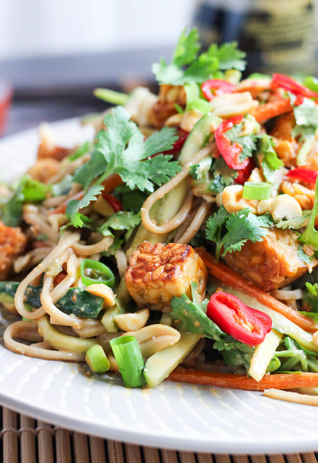 A closeup view of the nutty soba noodle salad on a grey & white plate, showing pieces of crispy tempeh, sliced chili, soba noodles and sliced spring onions.  