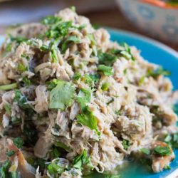 Slow Cooker Coriander Lime Shredded Chicken. Handy to have in the freezer for a quick meal.